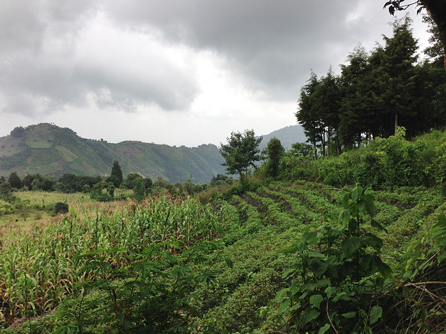 guatemala-missions-church-trip085