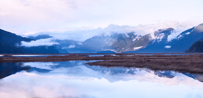 Pitt Polder at Sunset by Alyssa Schroeder Photography