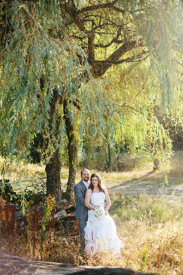 willow tree wedding photo