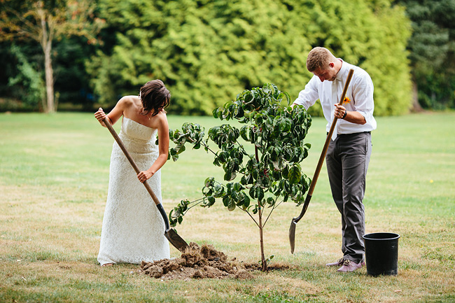 tree planting ceremony